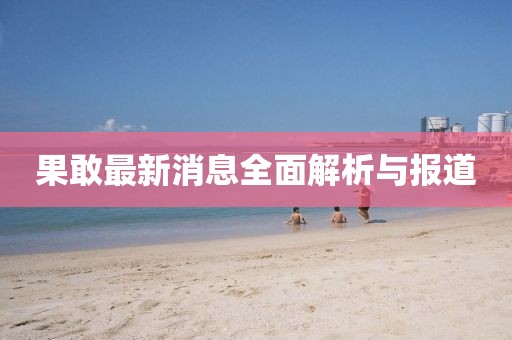 果敢最新消息全面解析與報道
