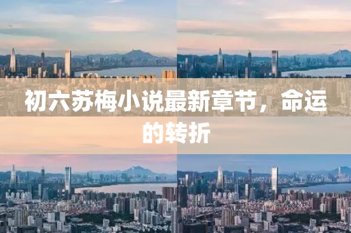初六蘇梅小說最新章節(jié)，命運的轉(zhuǎn)折