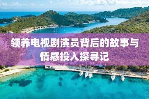 領養(yǎng)電視劇演員背后的故事與情感投入探尋記