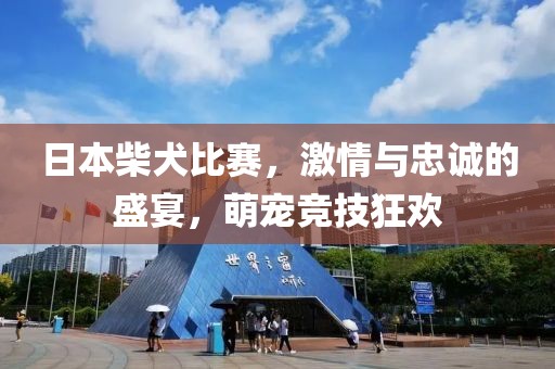 日本柴犬比賽，激情與忠誠的盛宴，萌寵競技狂歡