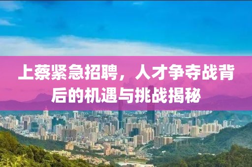 上蔡緊急招聘，人才爭奪戰(zhàn)背后的機遇與挑戰(zhàn)揭秘
