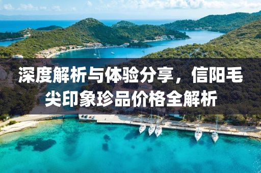 深度解析與體驗分享，信陽毛尖印象珍品價格全解析