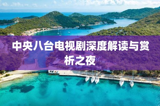 中央八臺電視劇深度解讀與賞析之夜