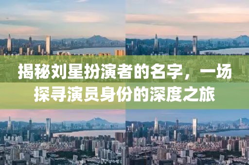 揭秘劉星扮演者的名字，一場(chǎng)探尋演員身份的深度之旅