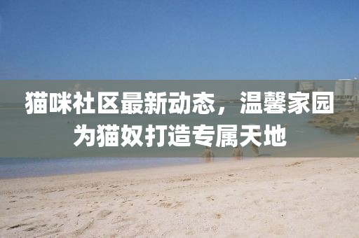 貓咪社區(qū)最新動態(tài)，溫馨家園為貓奴打造專屬天地