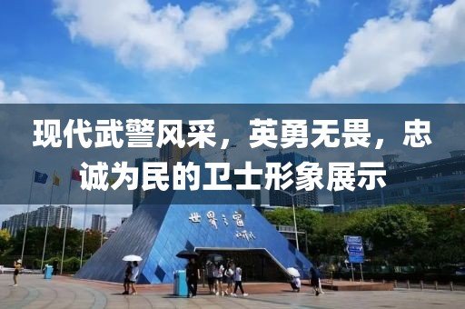現(xiàn)代武警風(fēng)采，英勇無畏，忠誠為民的衛(wèi)士形象展示