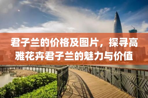 君子蘭的價(jià)格及圖片，探尋高雅花卉君子蘭的魅力與價(jià)值