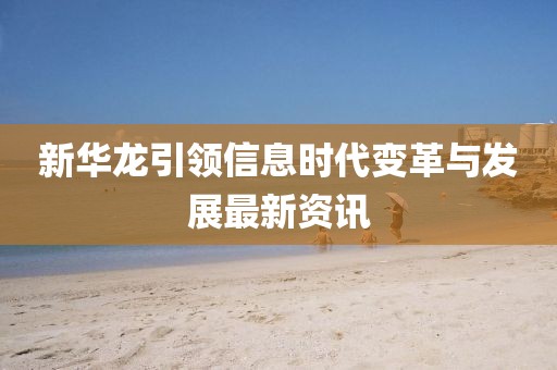 新華龍引領(lǐng)信息時(shí)代變革與發(fā)展最新資訊
