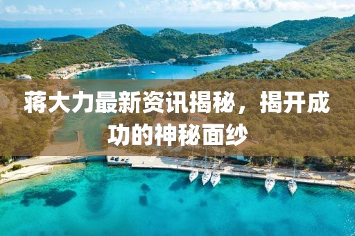蔣大力最新資訊揭秘，揭開成功的神秘面紗