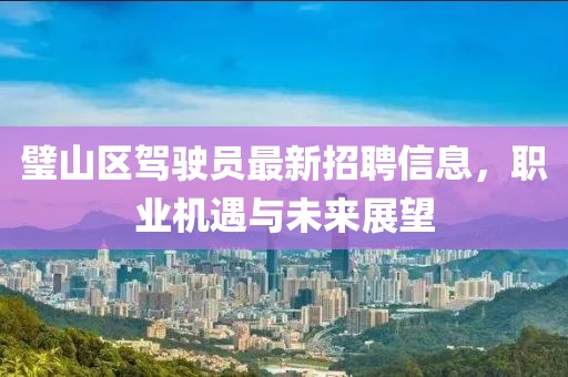 璧山區(qū)駕駛員最新招聘信息，職業(yè)機遇與未來展望