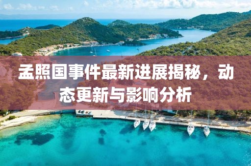 孟照國事件最新進(jìn)展揭秘，動態(tài)更新與影響分析
