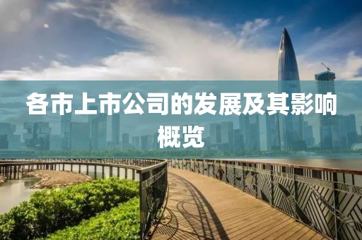 各市上市公司的發(fā)展及其影響概覽