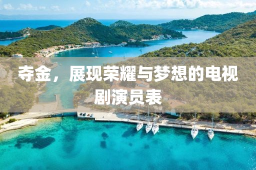 奪金，展現(xiàn)榮耀與夢(mèng)想的電視劇演員表