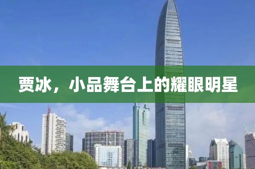 賈冰，小品舞臺(tái)上的耀眼明星
