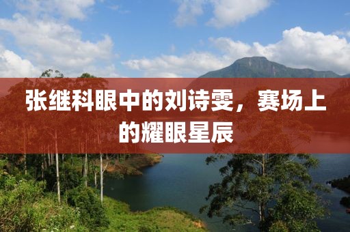 張繼科眼中的劉詩雯，賽場上的耀眼星辰