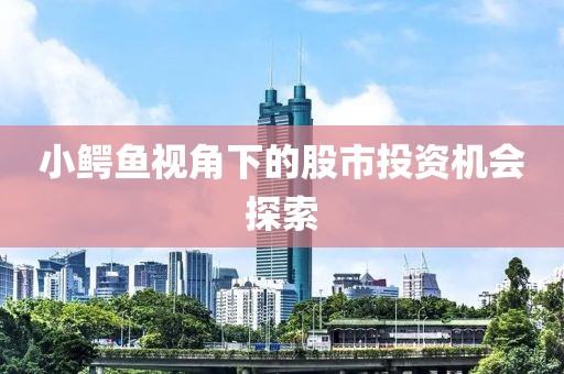小鱷魚視角下的股市投資機會探索