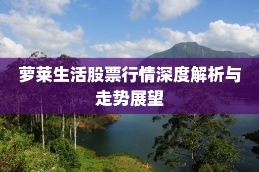 蘿萊生活股票行情深度解析與走勢(shì)展望