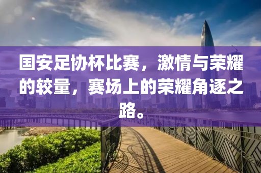 國安足協(xié)杯比賽，激情與榮耀的較量，賽場上的榮耀角逐之路。