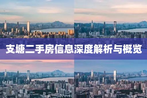 支塘二手房信息深度解析與概覽