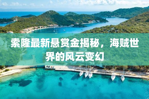 索隆最新懸賞金揭秘，海賊世界的風云變幻