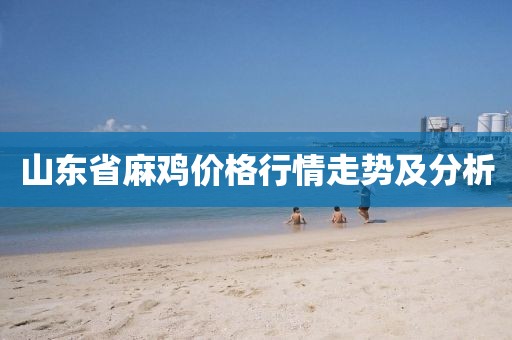 山東省麻雞價格行情走勢及分析