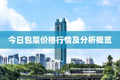 今日包菜價(jià)格行情及分析概覽