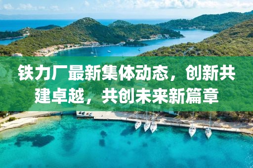 鐵力廠最新集體動態(tài)，創(chuàng)新共建卓越，共創(chuàng)未來新篇章