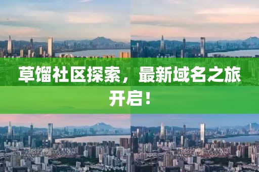 草餾社區(qū)探索，最新域名之旅開啟！