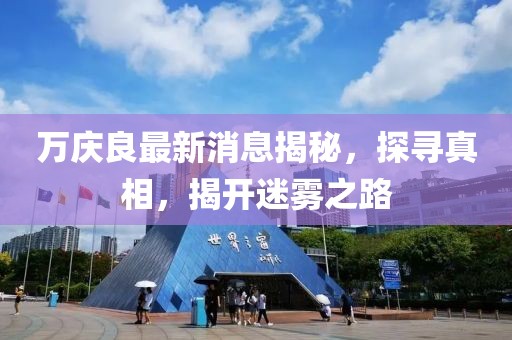 萬(wàn)慶良最新消息揭秘，探尋真相，揭開迷霧之路