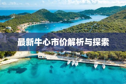 最新牛心市價(jià)解析與探索
