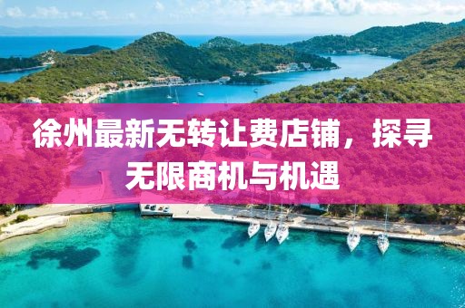 徐州最新無轉(zhuǎn)讓費(fèi)店鋪，探尋無限商機(jī)與機(jī)遇