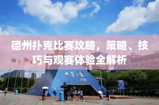德州撲克比賽攻略，策略、技巧與觀賽體驗(yàn)全解析
