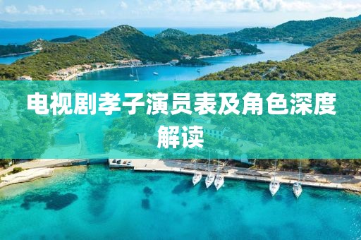 電視劇孝子演員表及角色深度解讀