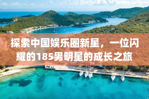 探索中國(guó)娛樂圈新星，一位閃耀的185男明星的成長(zhǎng)之旅