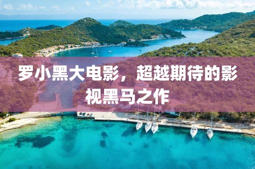 羅小黑大電影，超越期待的影視黑馬之作