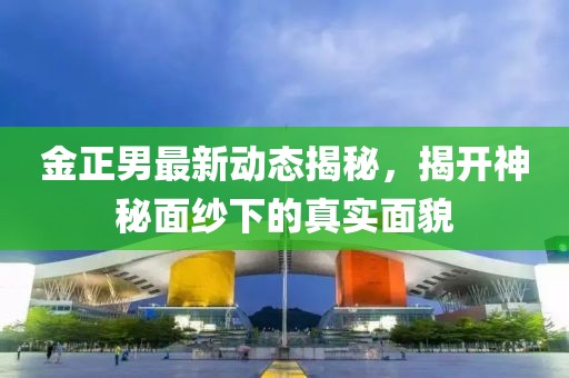 金正男最新動(dòng)態(tài)揭秘，揭開神秘面紗下的真實(shí)面貌