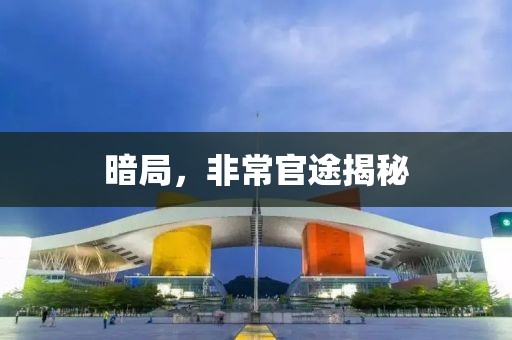 暗局，非常官途揭秘