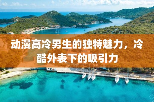 動漫高冷男生的獨特魅力，冷酷外表下的吸引力