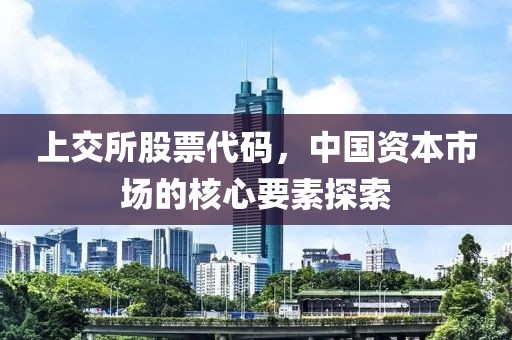 上交所股票代碼，中國資本市場(chǎng)的核心要素探索