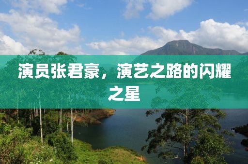 演員張君豪，演藝之路的閃耀之星