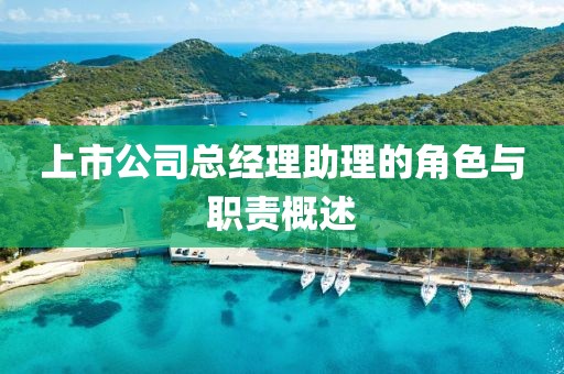 上市公司總經(jīng)理助理的角色與職責(zé)概述