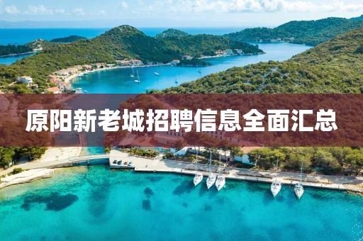 原陽新老城招聘信息全面匯總