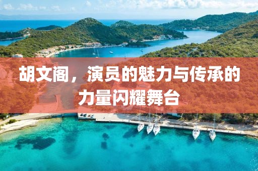 胡文閣，演員的魅力與傳承的力量閃耀舞臺