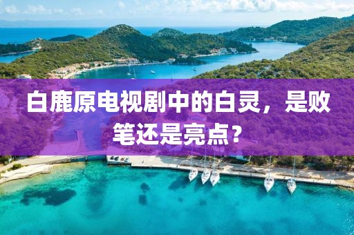 白鹿原電視劇中的白靈，是敗筆還是亮點(diǎn)？