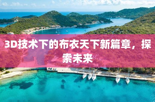 3D技術(shù)下的布衣天下新篇章，探索未來