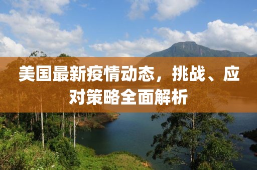 美國最新疫情動(dòng)態(tài)，挑戰(zhàn)、應(yīng)對(duì)策略全面解析