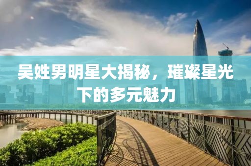 吳姓男明星大揭秘，璀璨星光下的多元魅力