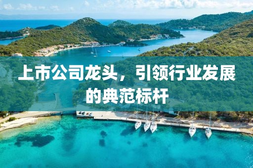 上市公司龍頭，引領(lǐng)行業(yè)發(fā)展的典范標(biāo)桿