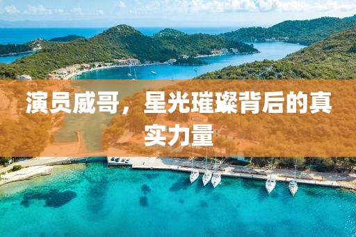演員威哥，星光璀璨背后的真實力量