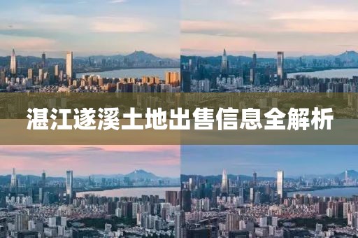 湛江遂溪土地出售信息全解析